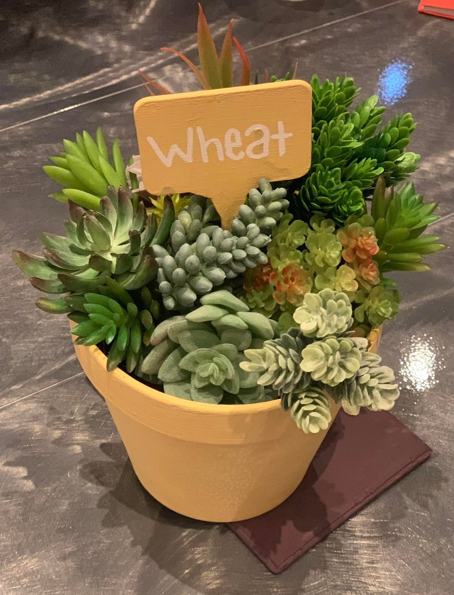 Wheat | Terra Clay Paint | Dixie Belle Paint Company | 16oz