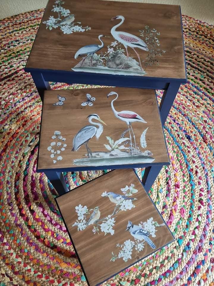 Birds of Paradise 4 Images | Rub On Furniture Transfers | Hokus Pokus | Furniture Decals | 37" x 23.6"