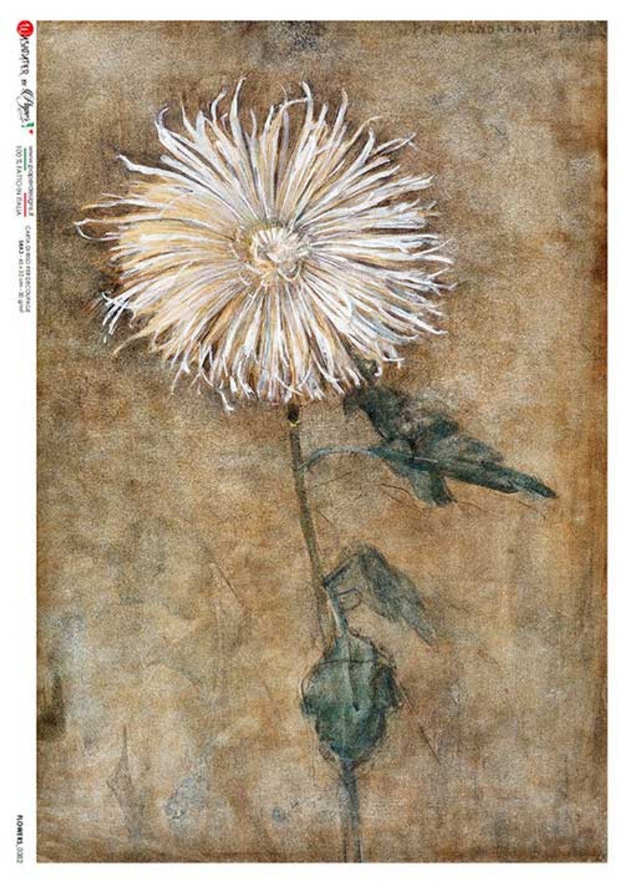 Dandelion Flowers 0382 |  Rice Paper Decoupage | US Paper Designs |A4