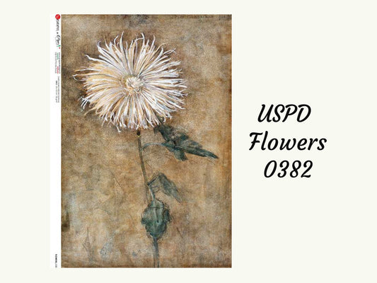 Dandelion Flowers 0382 |  Rice Paper Decoupage | US Paper Designs |A4