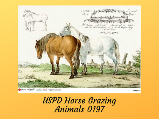 Horses Grazing Animals | Rice Paper Decoupage | Paper Designs 0197 | A4