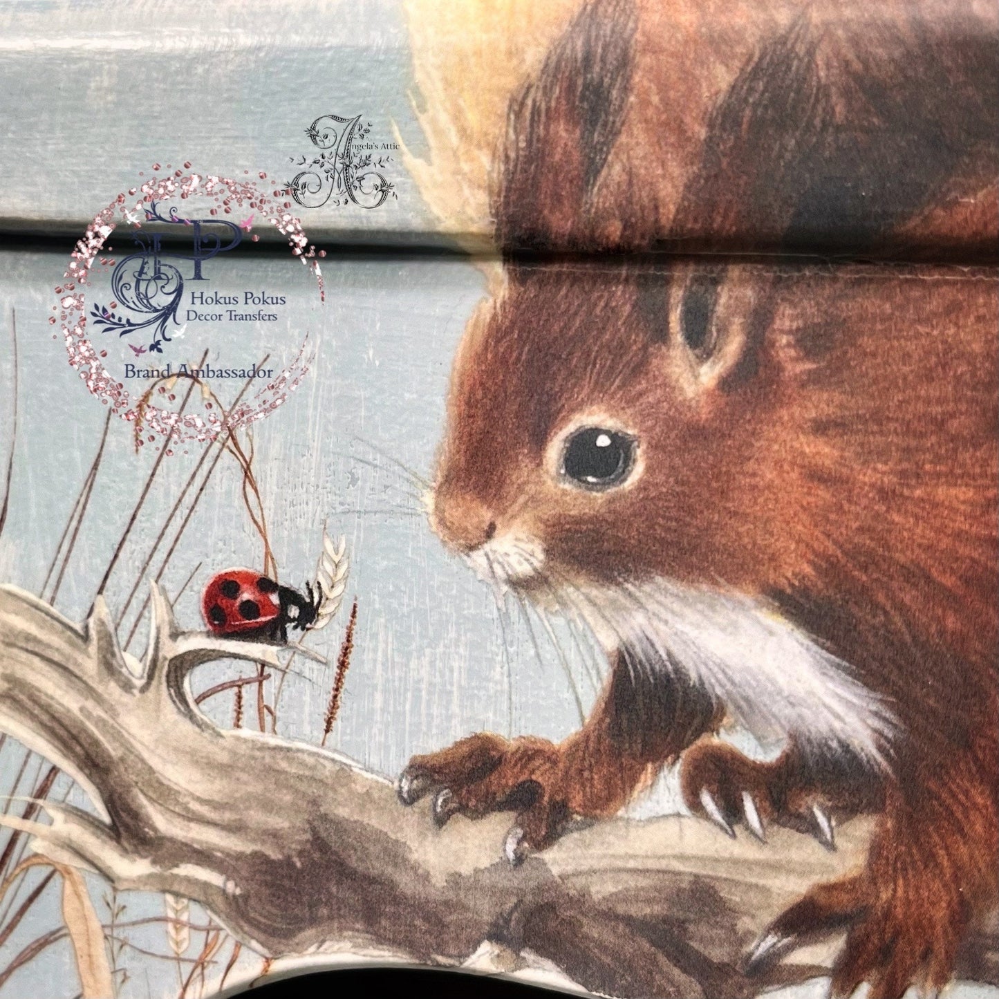 Let's Go Nuts | Rub On Furniture Transfers | Hokus Pokus | Furniture Decals | Petite Transfer | 3 Sheets