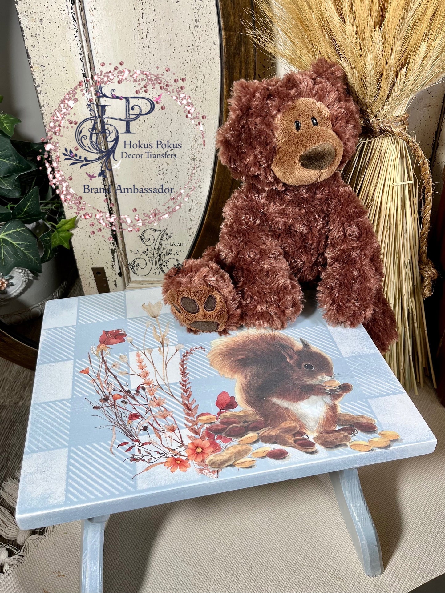 Let's Go Nuts | Rub On Furniture Transfers | Hokus Pokus | Furniture Decals | Petite Transfer | 3 Sheets