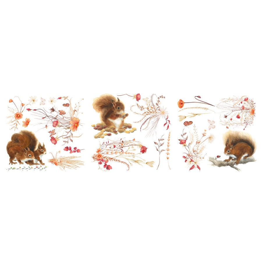 Let's Go Nuts | Rub On Furniture Transfers | Hokus Pokus | Furniture Decals | Petite Transfer | 3 Sheets