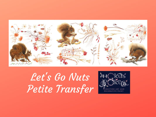 Let's Go Nuts | Rub On Furniture Transfers | Hokus Pokus | Furniture Decals | Petite Transfer | 3 Sheets