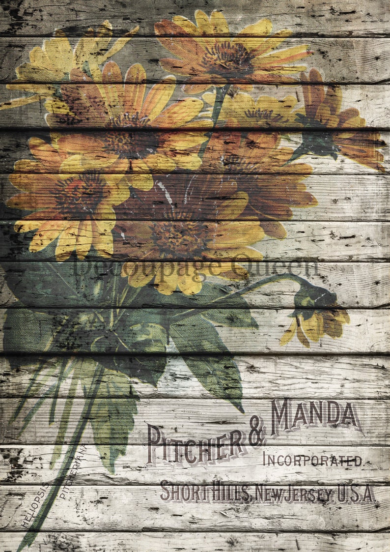 Pitcher and Manda | Rice Paper  Decoupage | Decoupage Queen | A4 & A3