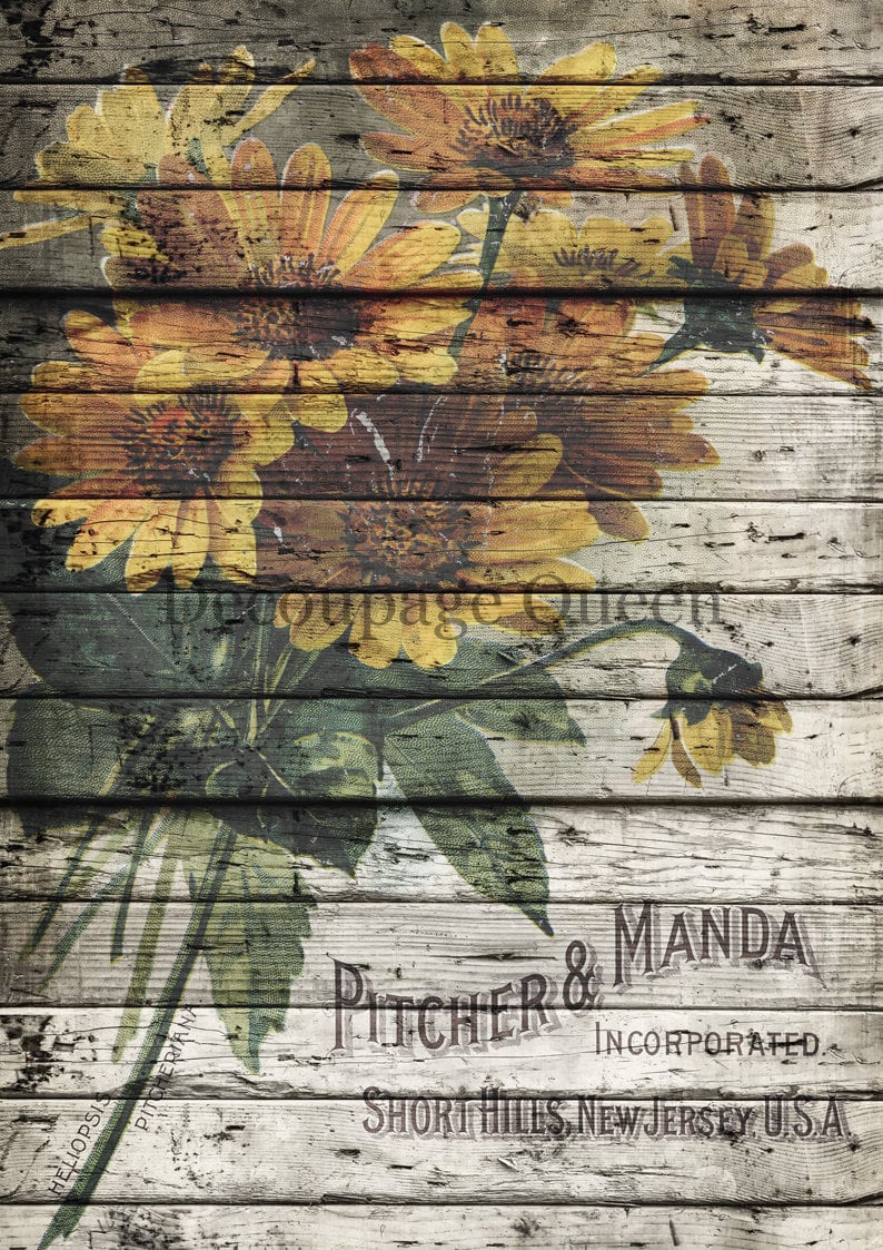 Pitcher and Manda | Rice Paper Decoupage | Decoupage Queen | A2 and A1