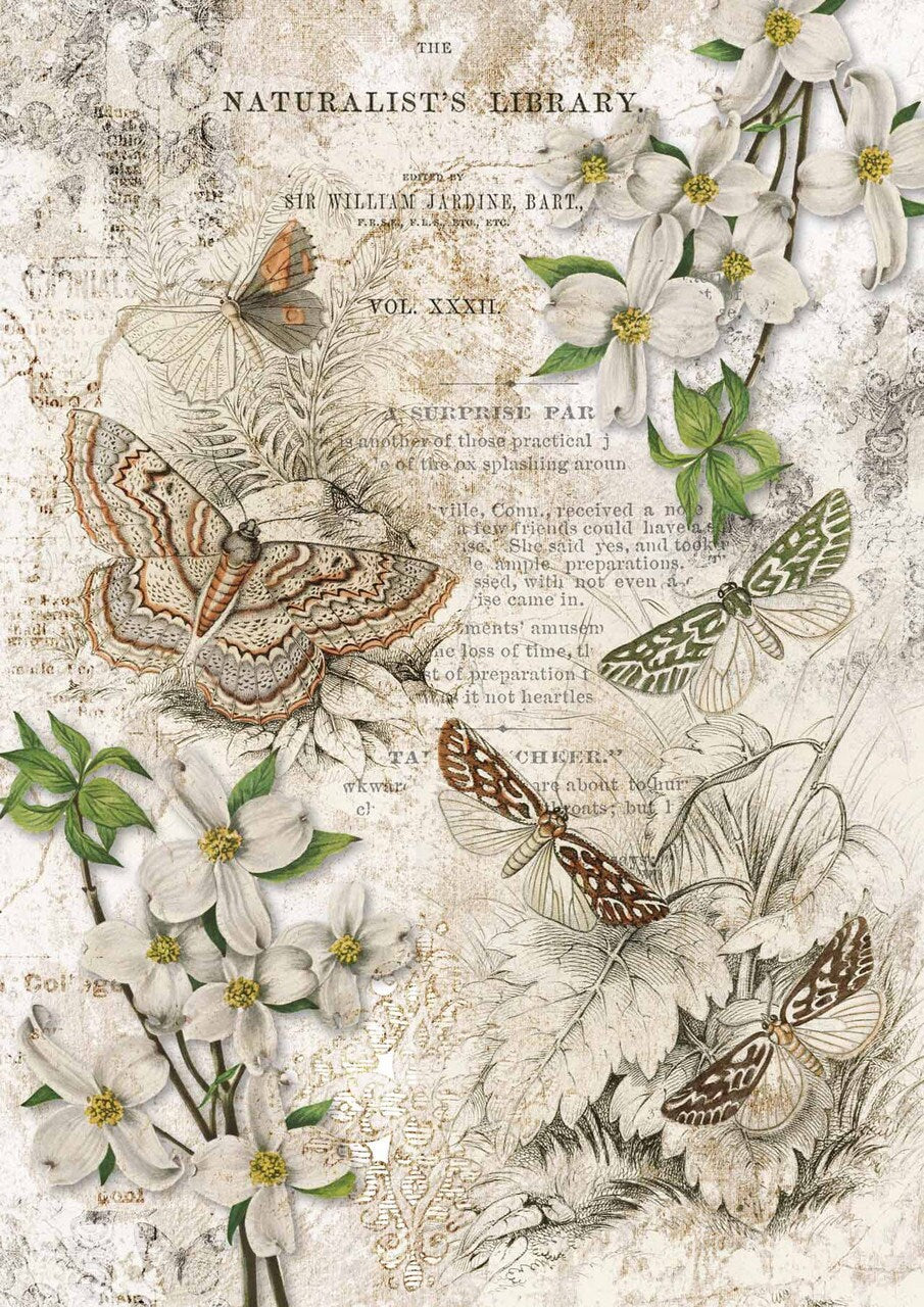 Naturalist Library | Rice Paper Decoupage | Decoupage Queen | A2