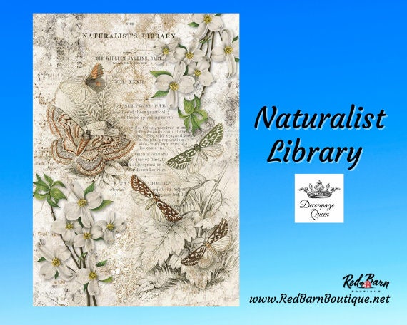 Naturalist Library | Rice Paper Decoupage | Decoupage Queen | A2