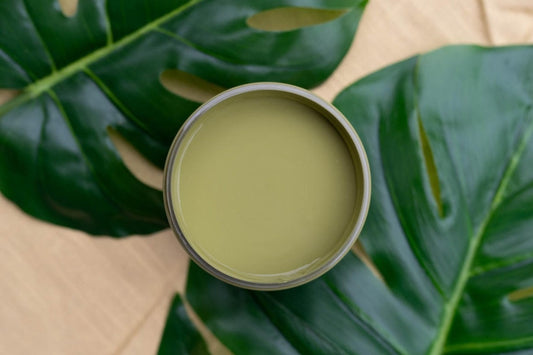 Everglades 4oz  | Silk All-In-One | National Park Inspired Colors | Dixie Belle Paint Company | 4oz