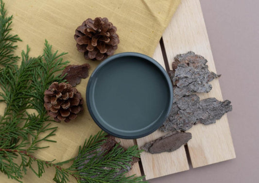 Smokey Mountains 16oz | Silk All-In-One | National Park Inspired Colors | Dixie Belle Paint Company | 16oz
