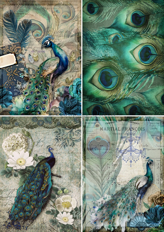 Peacock Four Pack | Four Images | Decoupage Paper | Rice Paper Decoupage | Decoupage Queen | A4 and A3