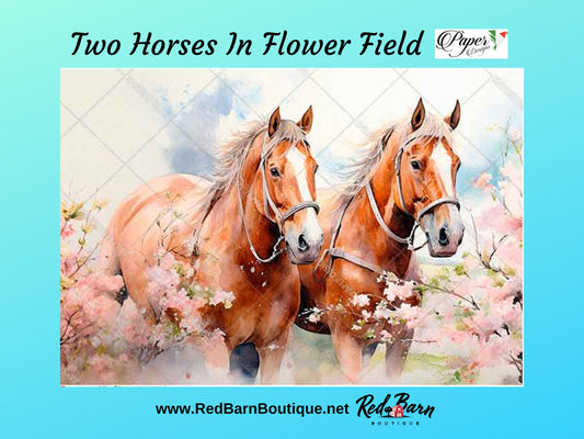 Two Horses In A Flower Field  | Rice Paper Decoupage | Paper Designs Animal 0245 | Sizes A4 & A3