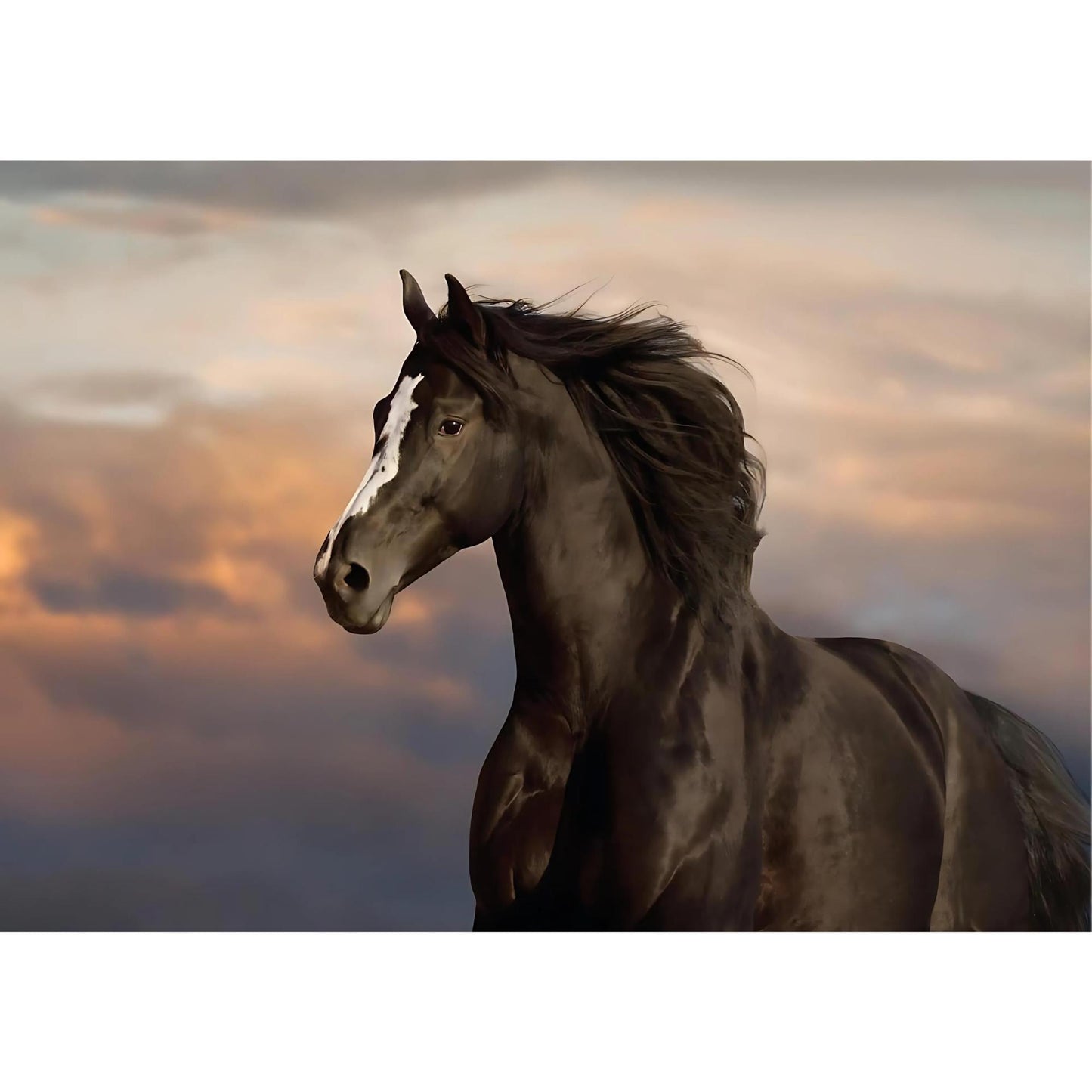 Majestic Horse | Rice Paper Decoupage | Belles and Whistles | Dixie Belle Paint | A1