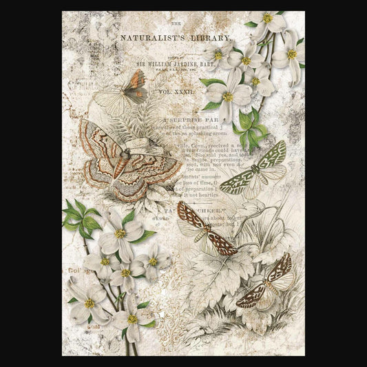 Naturalist Library | Rice Paper Decoupage | Decoupage Queen | A2