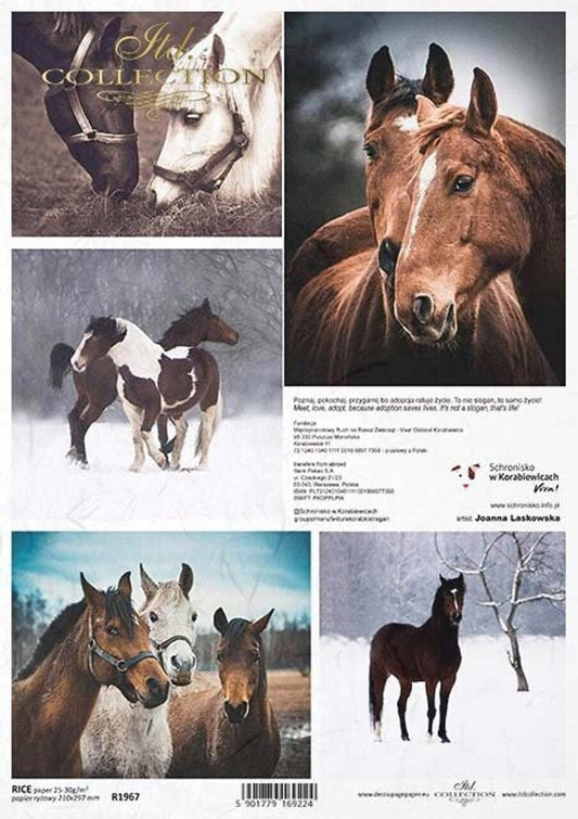 Horse Scenes TR1967 | Rice Paper Decoupage | ITD | Decoupage Paper | A4