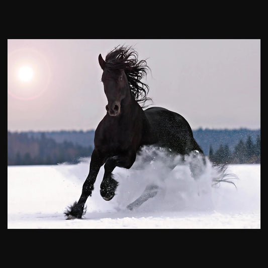 Winter Gallop | Rice Paper Decoupage | Dixie Belle Paint Company | Belles and Whistles | A1 | 23.39" x 33.11"