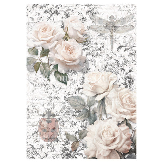 Sketches Background | Rice Paper Decoupage | Designed In The USA | Printed In Italy | Decoupage Queen | Dainty and The Queen | A4