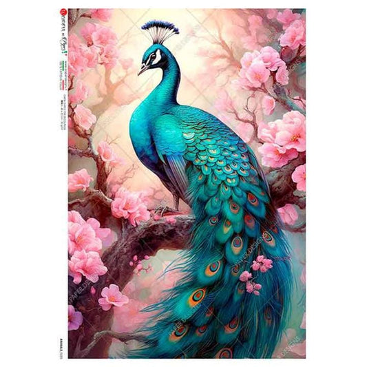 Colorful Peacock | Rice Paper Decoupage | Paper Designs 0235 | JA4