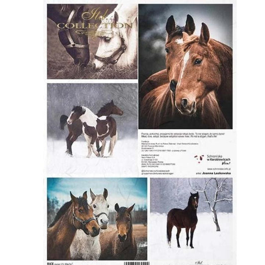 Natural Horse Collage | Rice Paper Decoupage | ITD R1967 | A4
