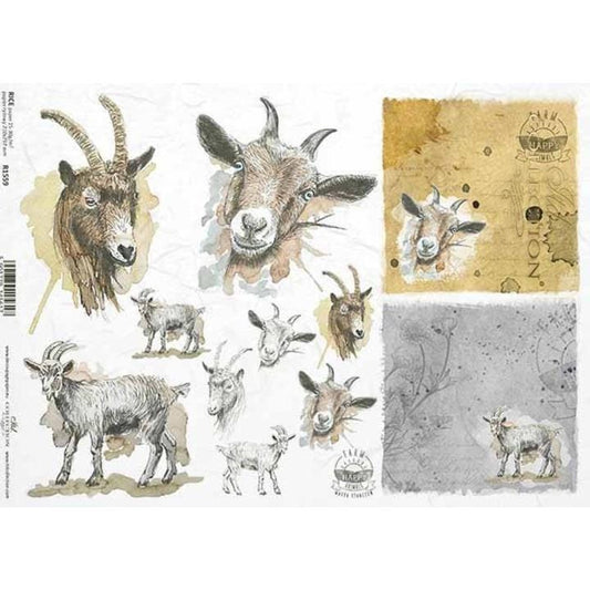 Goat Portraits | Rice Paper Decoupage | ITD R1559 | A4