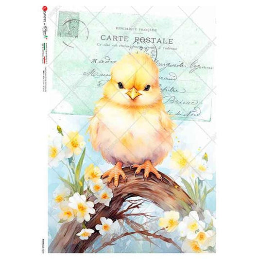 Chick and Daisies | Rice Paper Decoupage | Paper Designs 0238 | JA4